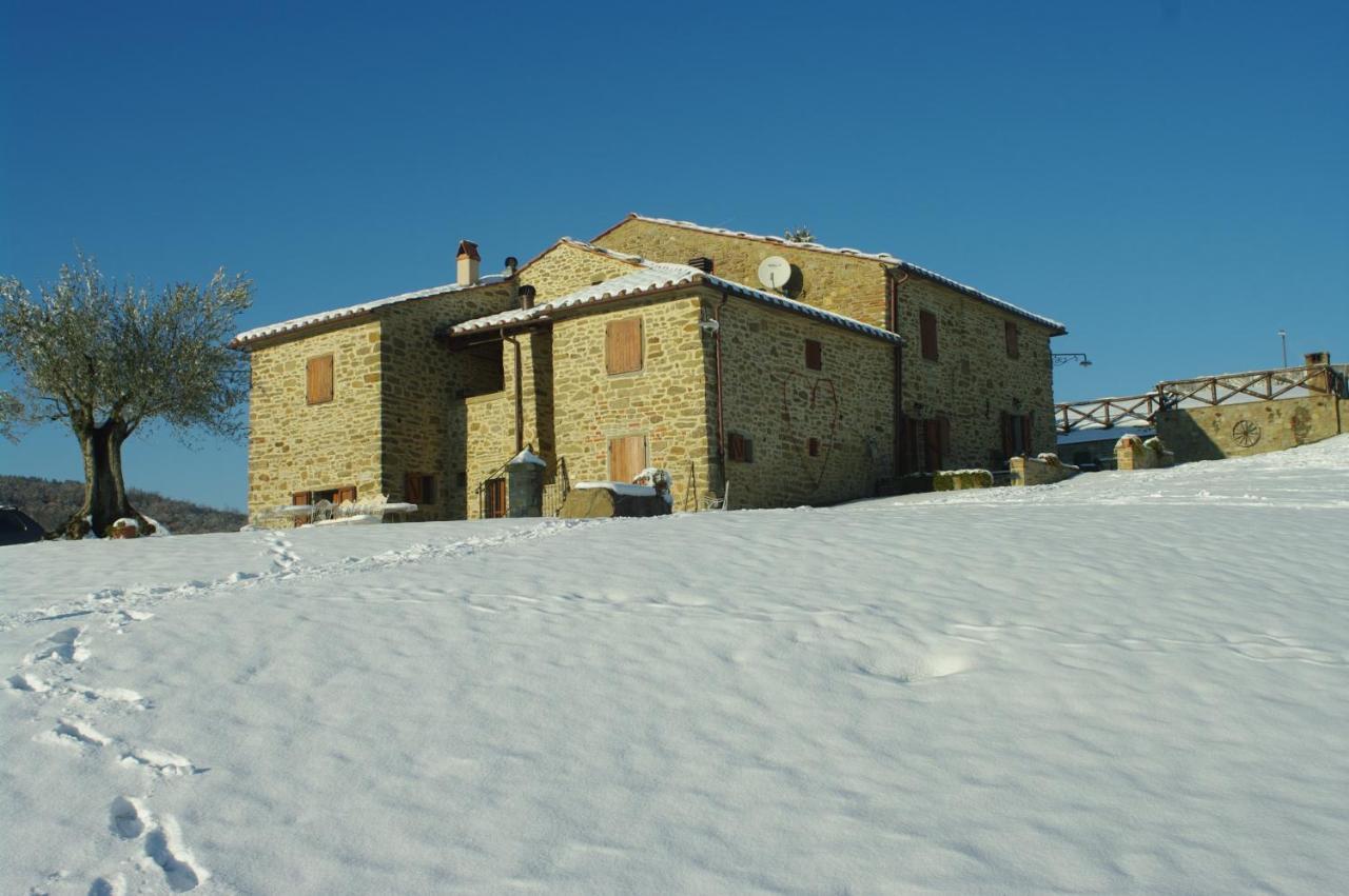 Agriturismo D'Ambiano Arezzo Exterior photo